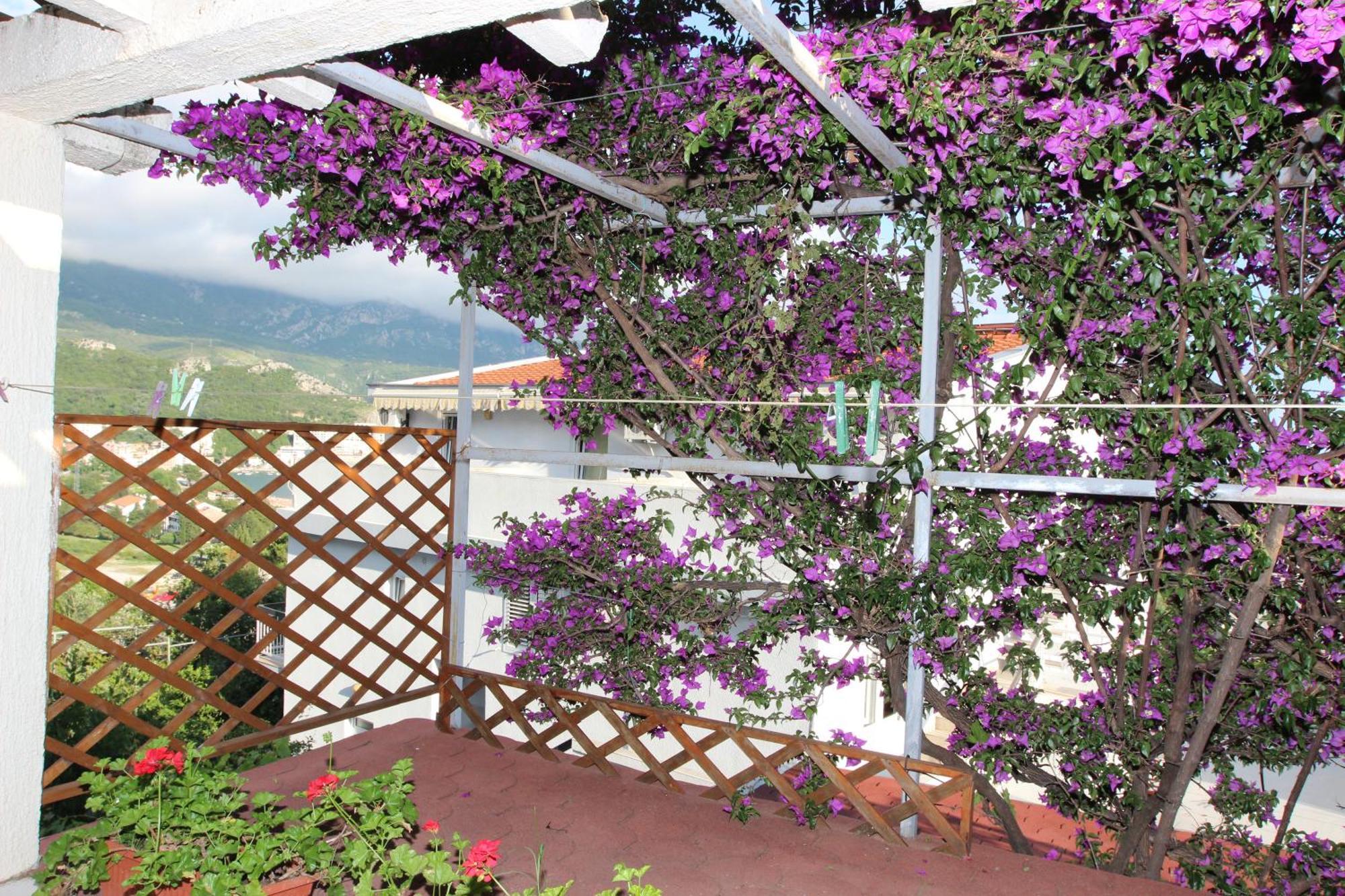 Apartment Sandra Budva Room photo